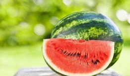 吃瓜网51官网版,热门资讯一网打尽